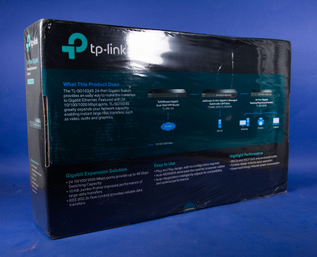 TP-Link 24 Port Gigabit (2)